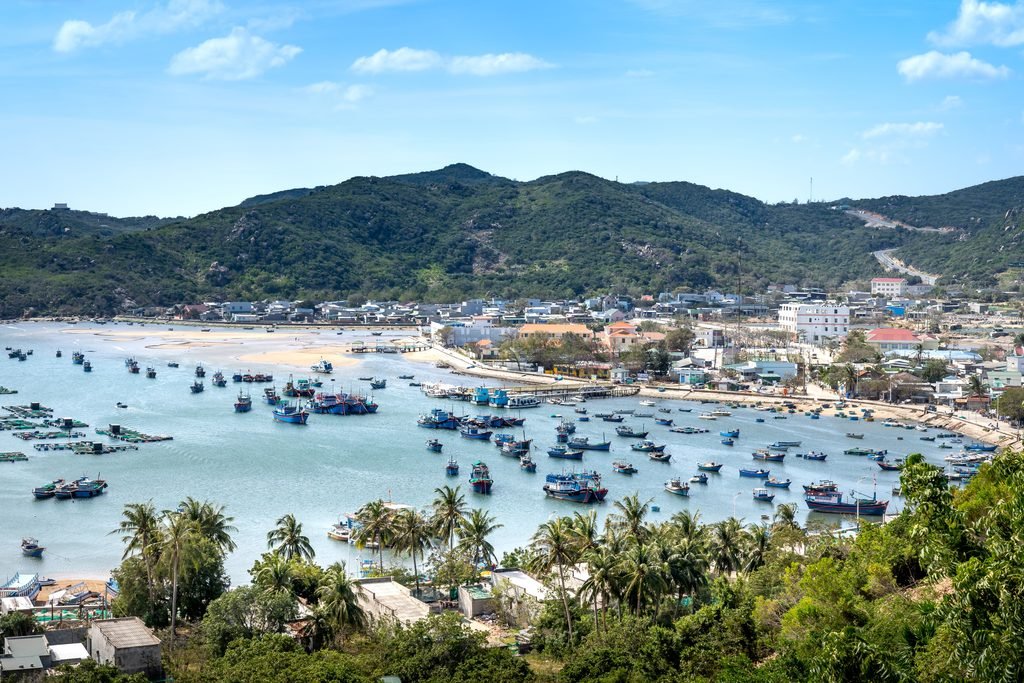 pexels quang nguyen vinh 222549 8259966