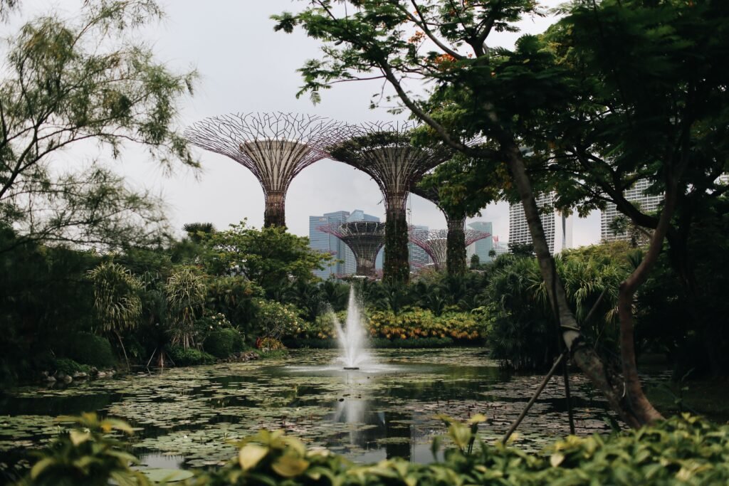 Gardens by the Bay Tour Package from Kochi