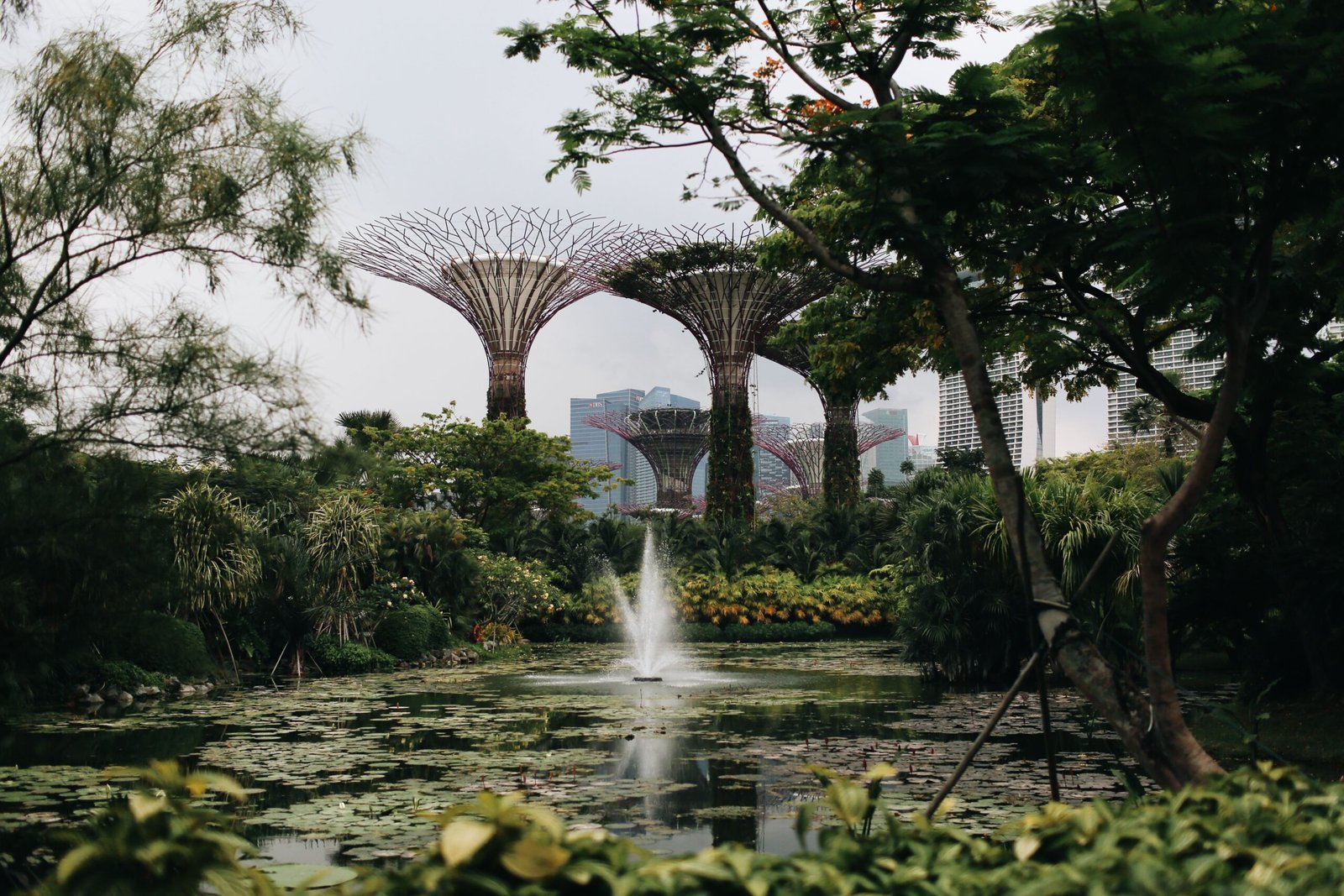Gardens by the Bay Tour Package from Kochi 1 Gardens by the Bay Tour Package from Kochi